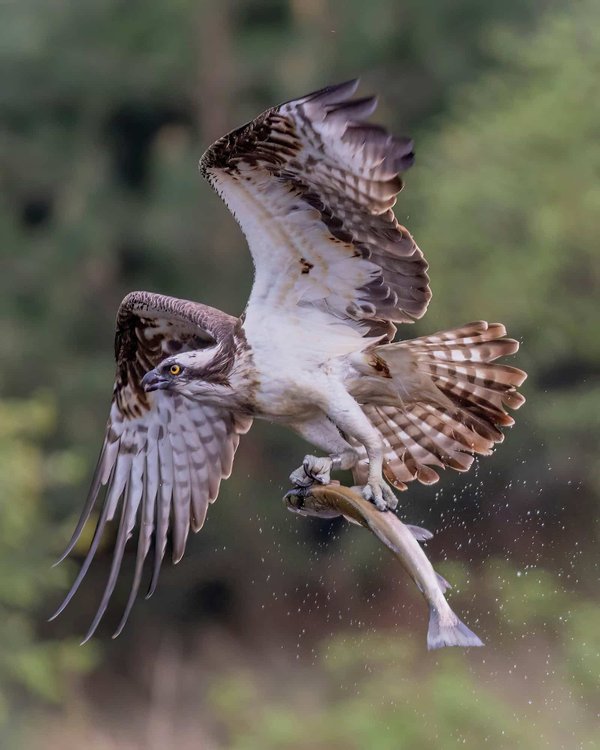 Quels conseils pour porter des talons hauts confortablement toute la journée?