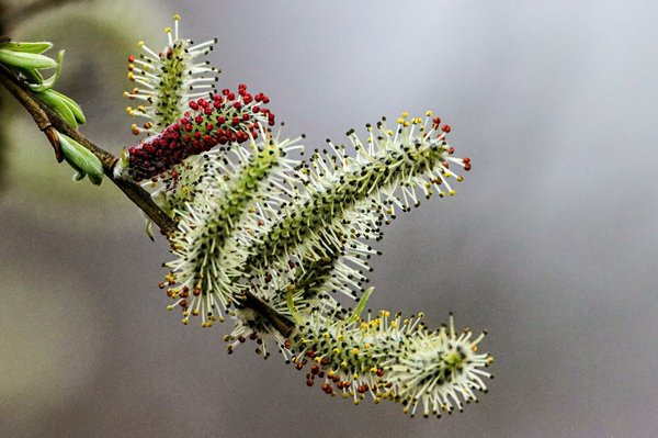 Comment choisir des sacs à main en osier pour des tenues de vacances élégantes?