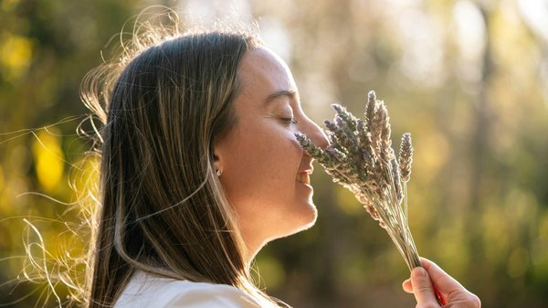 Quelle est la meilleure façon d'utiliser les fleurs de lavande dans sa routine beauté?