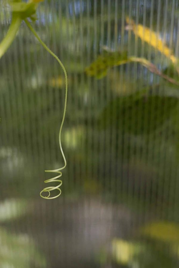 Comment adapter sa routine de soins de peau en fonction des changements de saison?