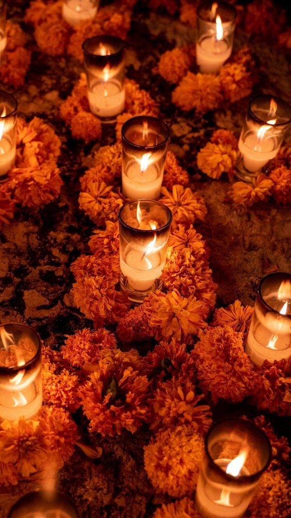 Quelles sont les meilleures pratiques pour améliorer la qualité de l'air intérieur chez les femmes allergiques?