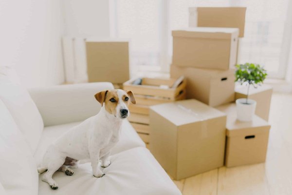 Quels sont les meilleurs sous-vêtements pour porter sous des vêtements en soie?