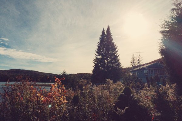 Quels fruits et légumes de saison consommer en automne pour un maximum de nutriments?