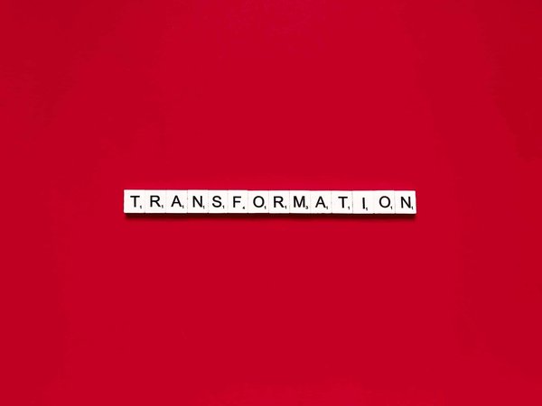 Comment transformer un balcon étroit en un jardin suspendu florissant et parfumé?