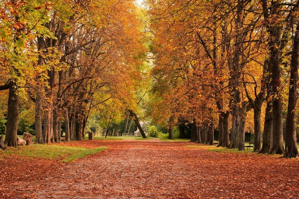 Quelle est la hauteur idéale de talon pour une paire de bottes élégantes convenant aux longues journées de travail?