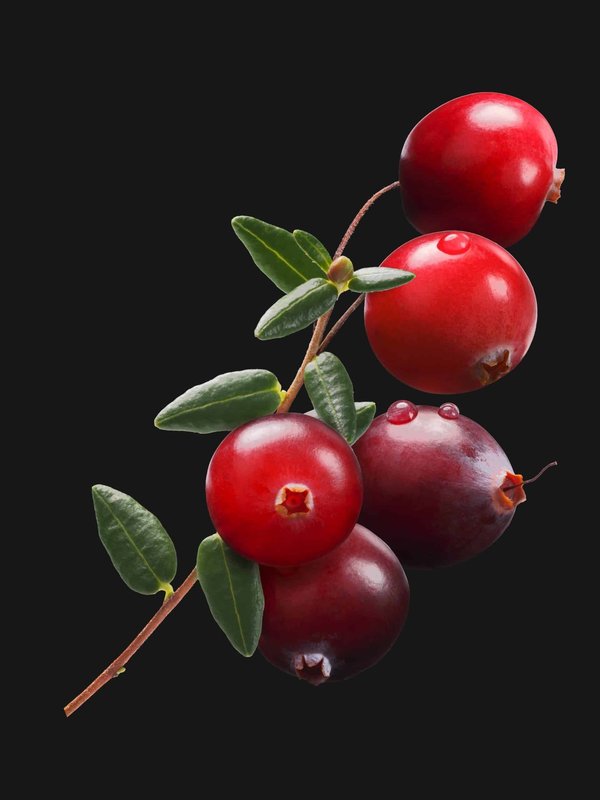 Quelle est la meilleure manière de combiner des gants en maille avec une doudoune pour un look hivernal tendance?