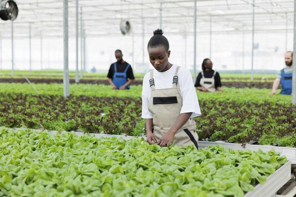 Quelles sont les méthodes pour apprendre à reconnaître les tissus éco-responsables lors de l'achat de vêtements?