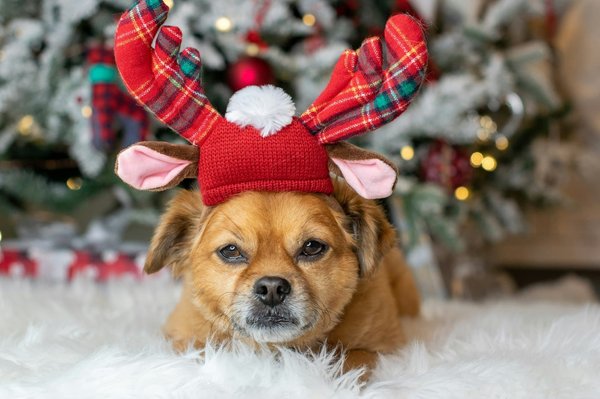 Quel type de headband choisir pour sublimer une coiffure bohème lors d'un festival?