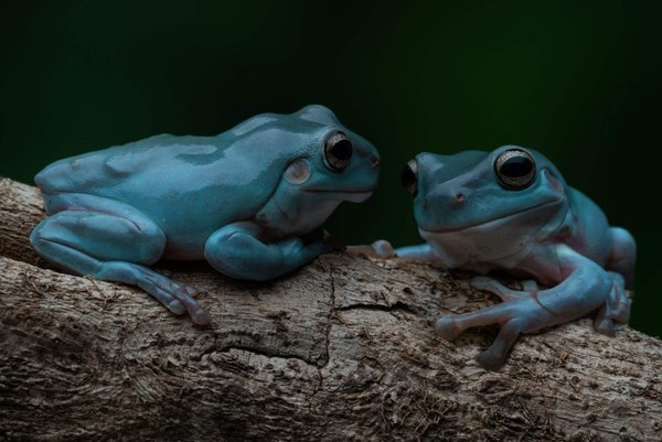 Comment assortir des chaussures de couleur vive avec une tenue professionnelle sobre?