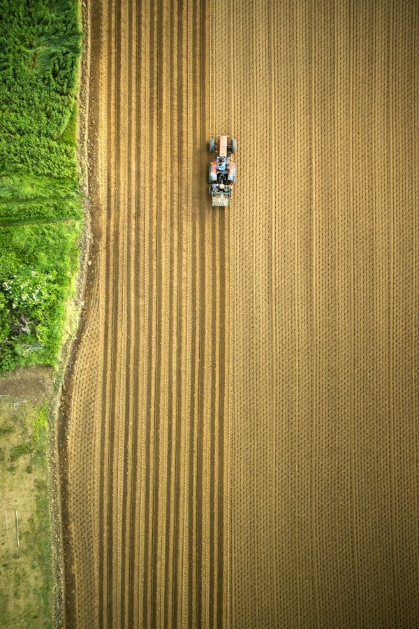 Comment pratiquer le grounding ou earthing dans un environnement urbain ?