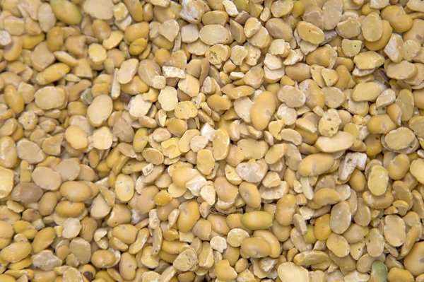 Comment intégrer l'huile d'argan dans votre routine beauté pour ses propriétés régénérantes?