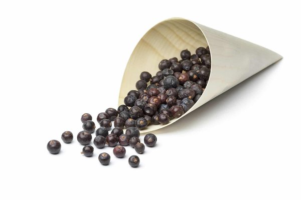 Quels types de sacs privilégier pour une journée de travail chargée?