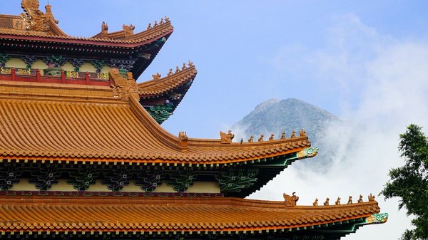 Quels types de pantalons en lin sont conseillés pour un look d'été élégant?