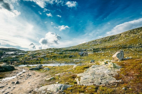 Comment intégrer des éléments de décoration scandinave pour un intérieur chaleureux?