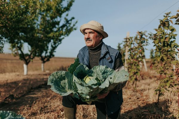 Quels sont les meilleurs conseils pour un aménagement extérieur éco-responsable?